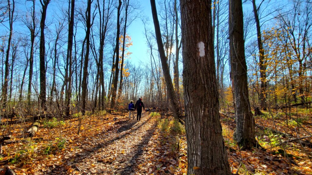 Car Hike: #7/7 Iroquoia Bruce Trail End-to-End -19 KM - Bruce Trail