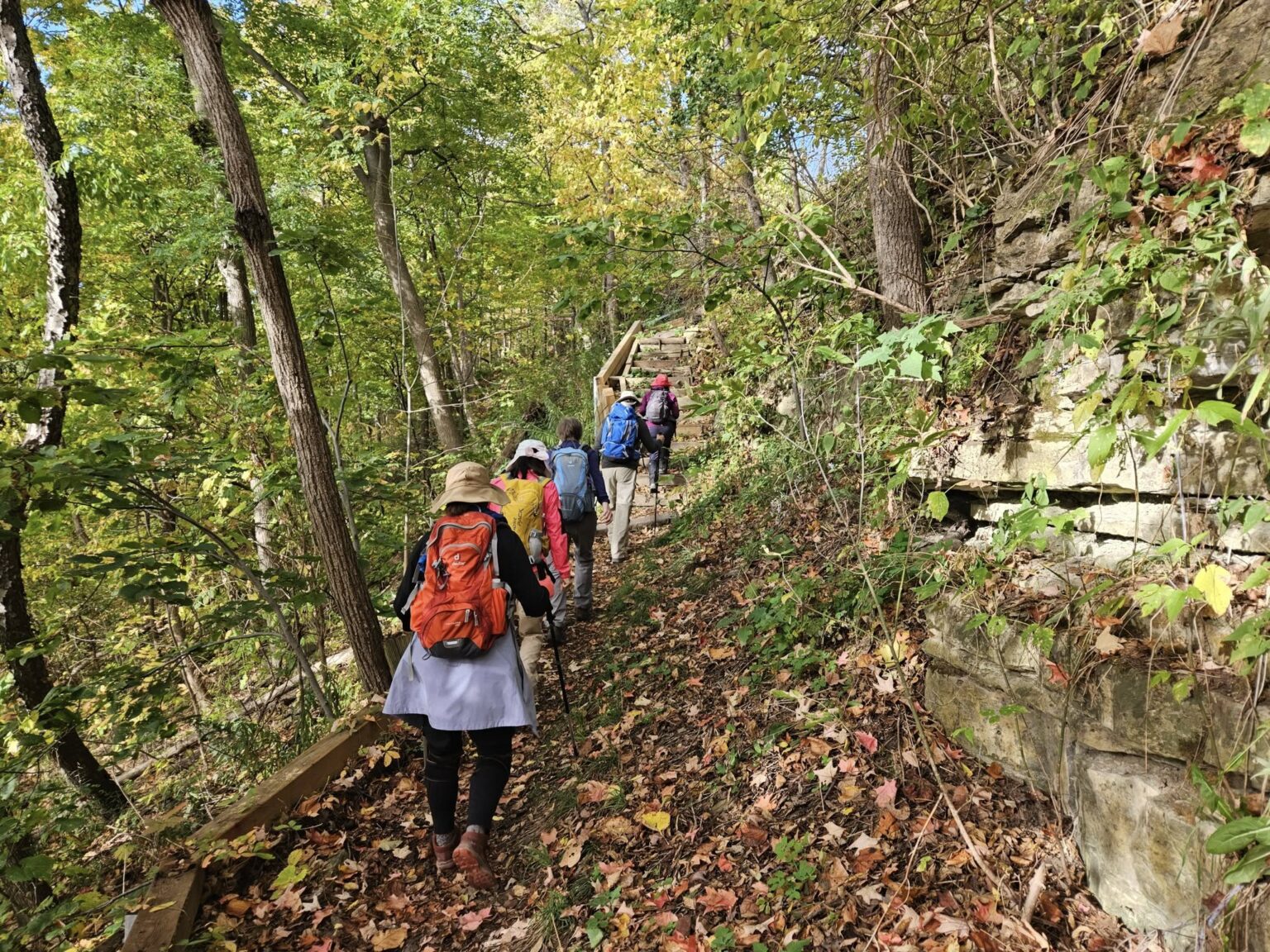 Car Hike: #5/7 Iroquoia Bruce Trail End-to-End -18 KM - Bruce Trail