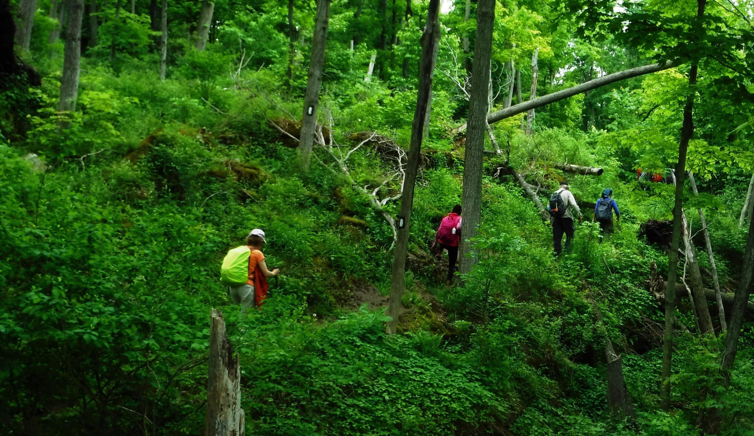 #1/5 Niagara Bruce Trail End-to-End - 19 KM - Bruce Trail Conservancy