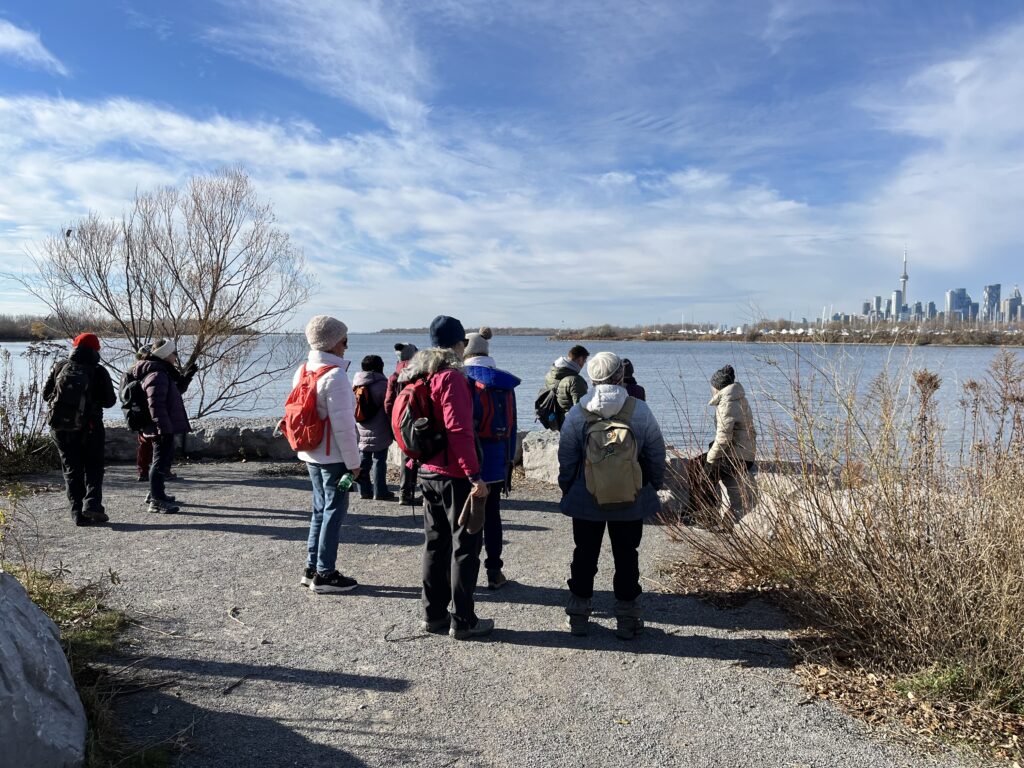 Urban Walk: Tommy Thompson Park-Toronto's Urban Wilderness (on the