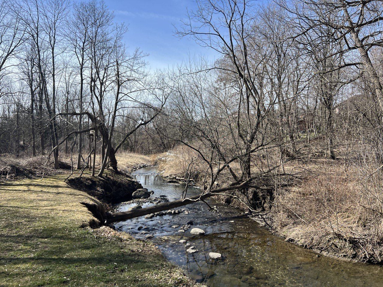 German Mills Creek Bruce Trail Conservancy Hike Schedule german-mills-creek-bruce-trail-conservancy-hike-schedule