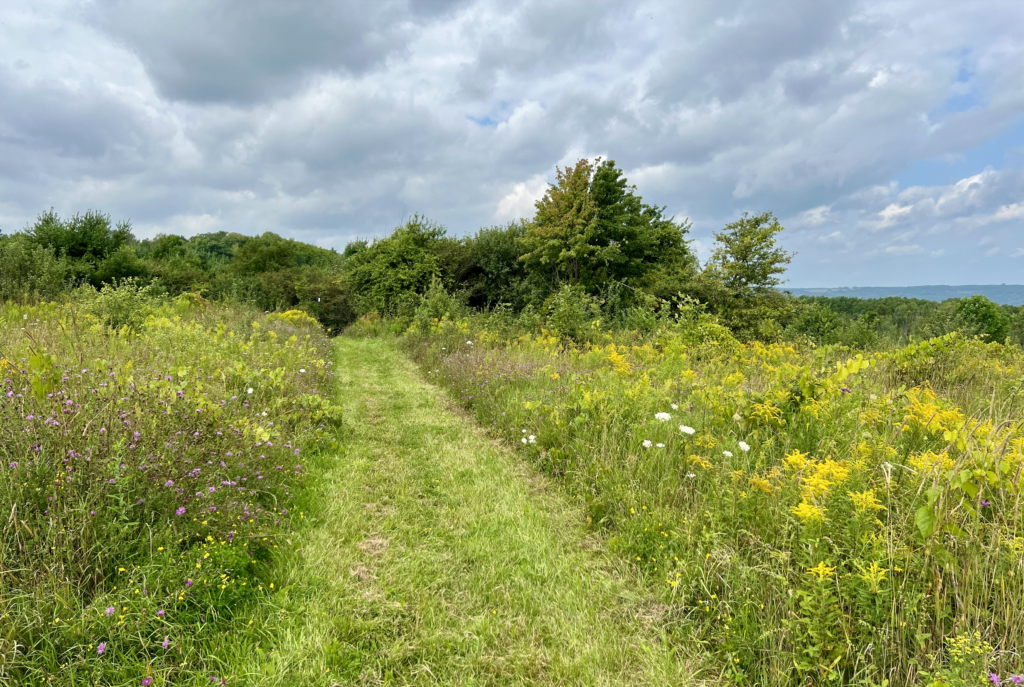 WEDNESDAY WALKERS - Fox Ridge - Bruce Trail Conservancy - Hike Schedule