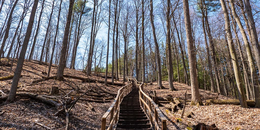 Urban Walk: Peggy's Wood, Dave Kerwin Trail & Thornton Bales